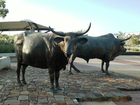 24042013 Cattle statues