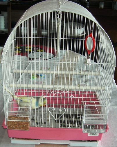 Daisy cage