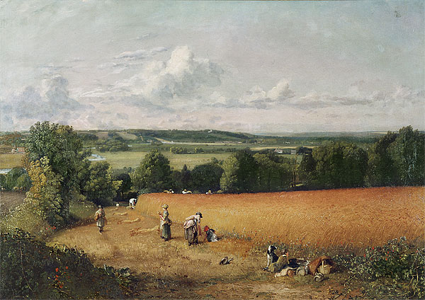 The Wheatfield -  John Constable