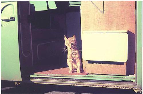 Ginger William seated in the doorway of 'Cambi'.  His favourite perch while travelling was on top of the unit to the right.