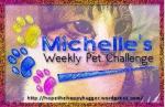 Michelle's Pet Challenge