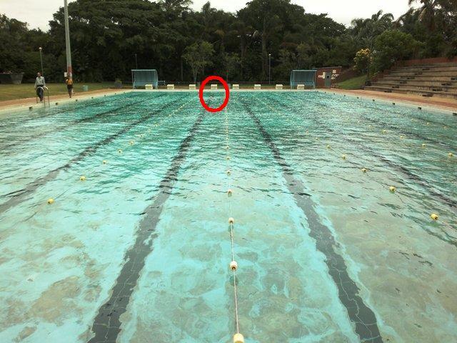 800m swim 15042014521