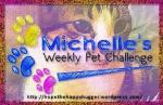 Michelle's Pet Challenge